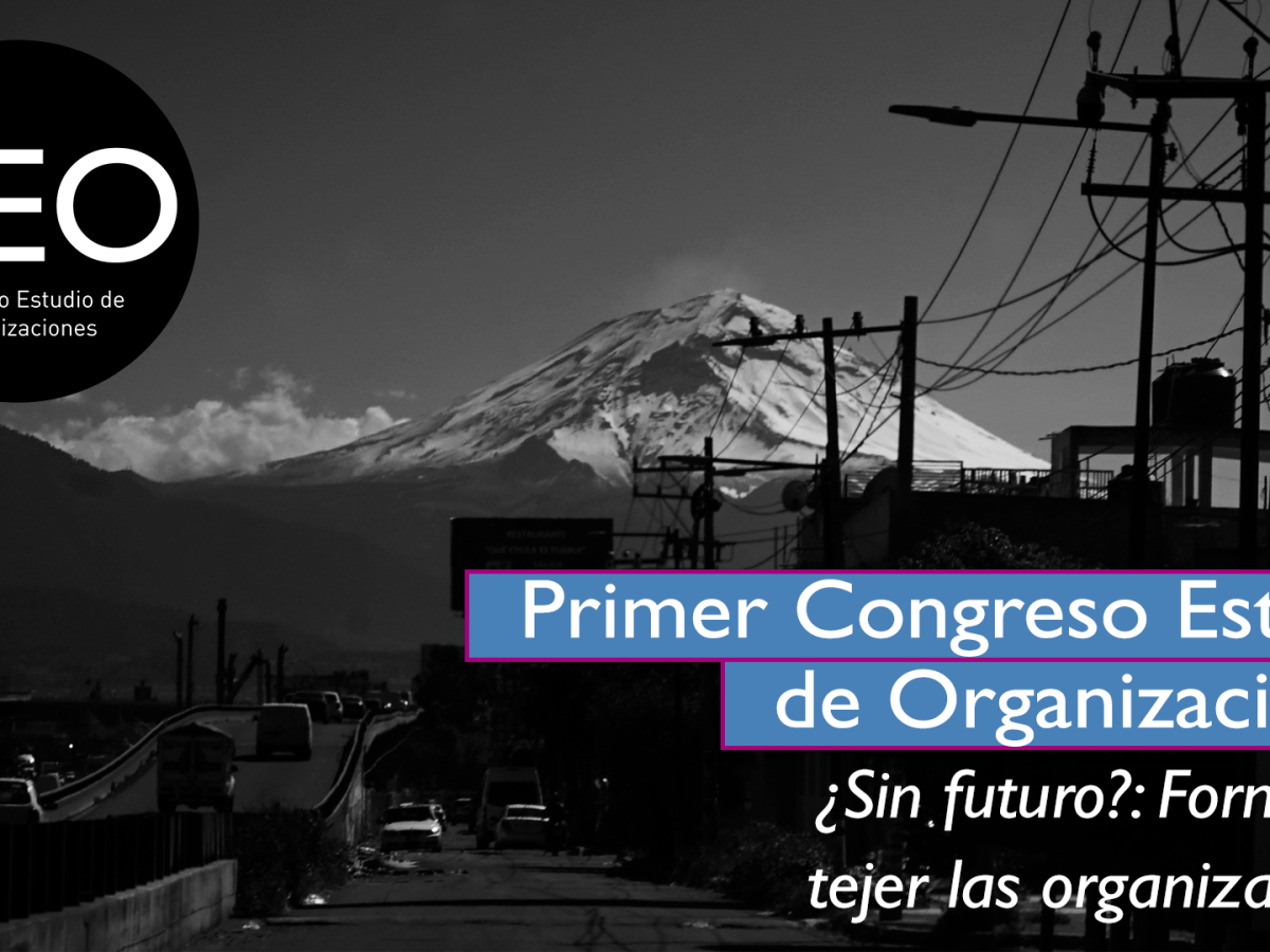 Primer Congreso Nacional Estudio de Organizaciones (CEO)