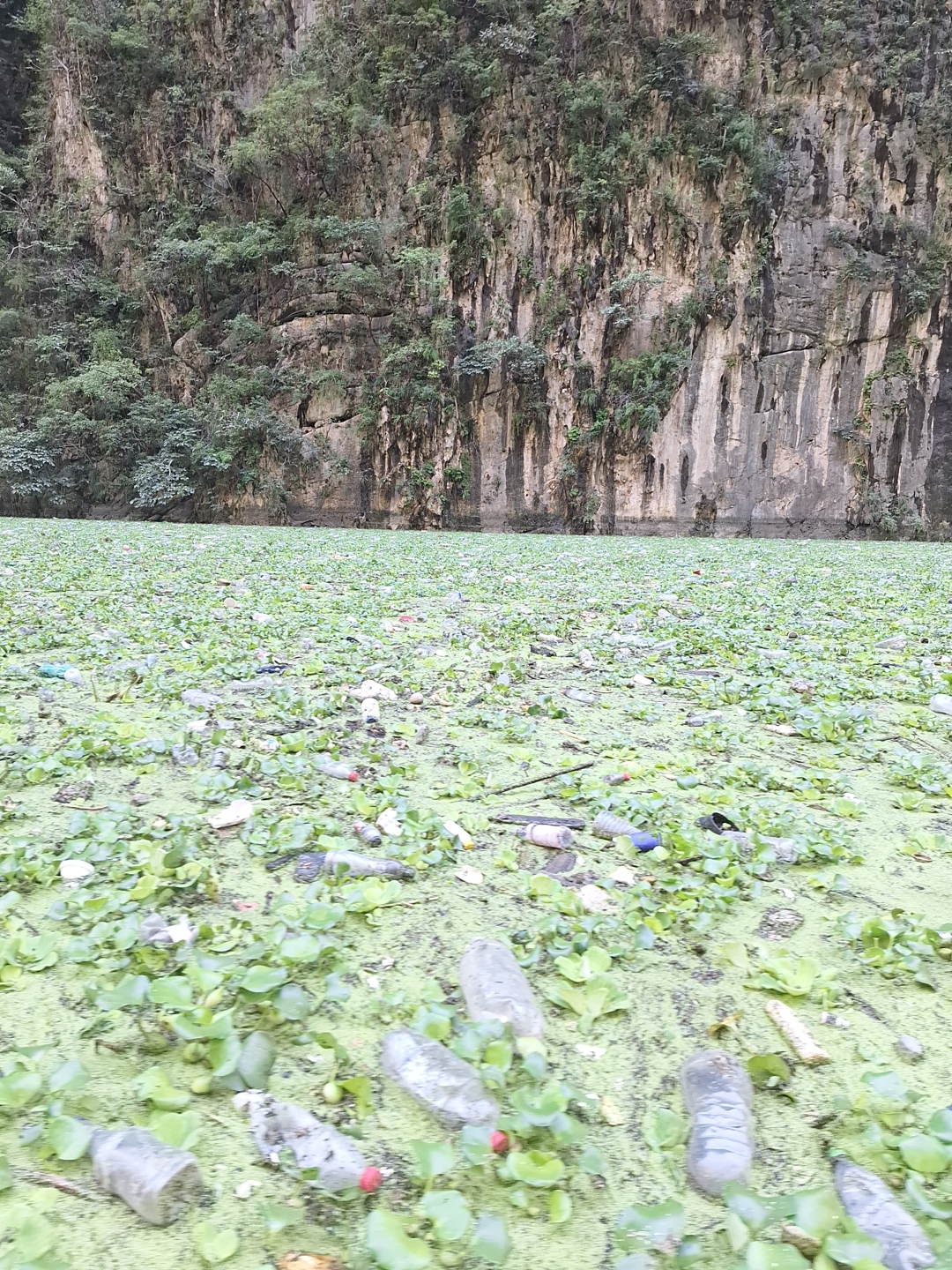 Generación de residuos sólidos y su impacto en la contaminación de ríos mexicanos. Una crítica al capitalismo neoliberal.