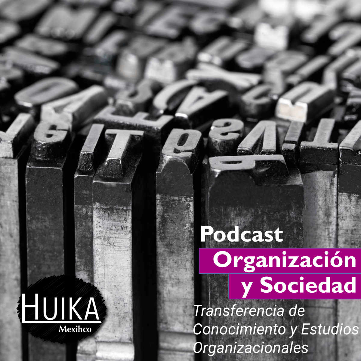 1 (2025) Transferencia de Conocimiento y Estudios Organizacionales con la Dra. María Elisa Gómez Rodríguez
