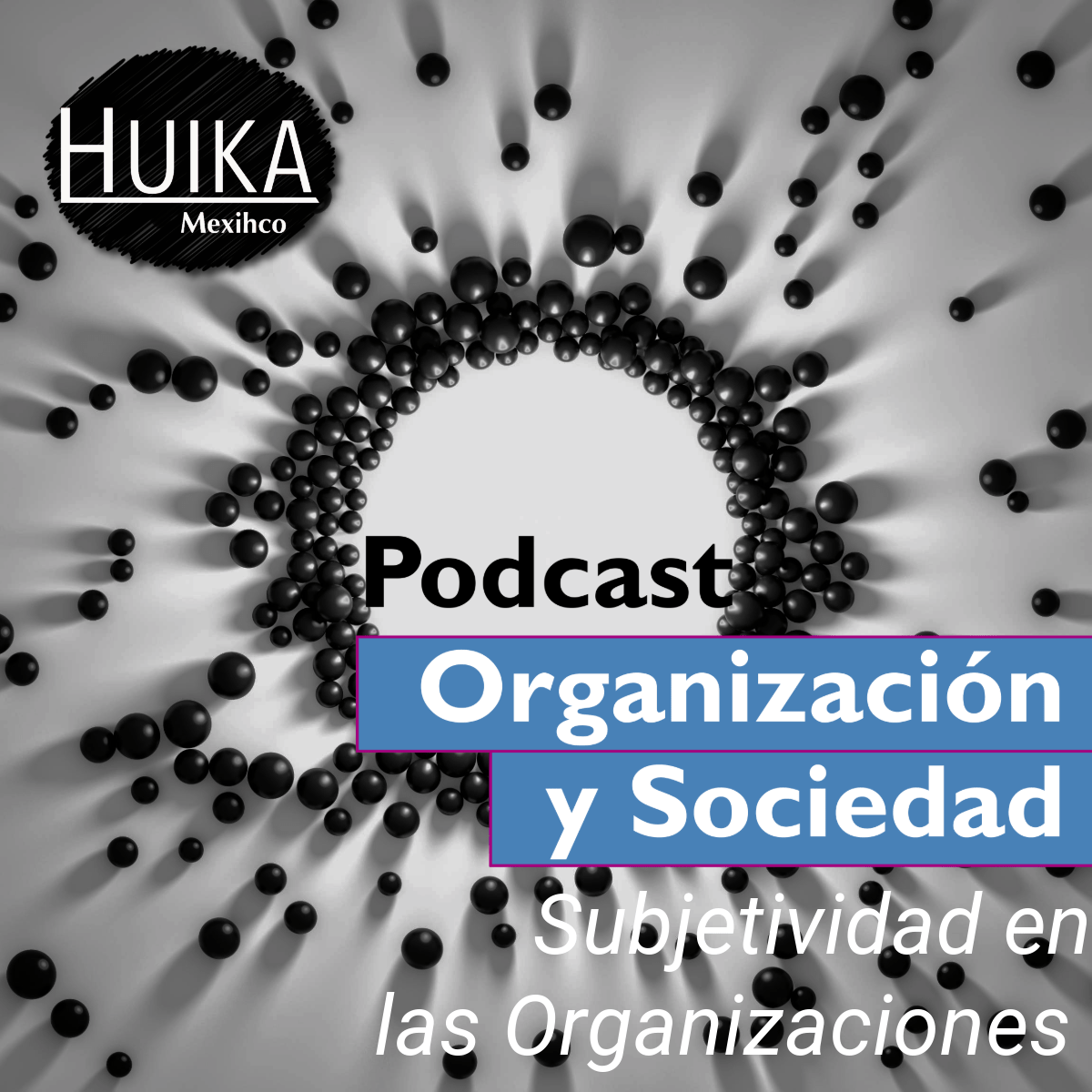 4 (2025) Subjetividad en las Organizaciones con la Dra. Alejandra Urbiola