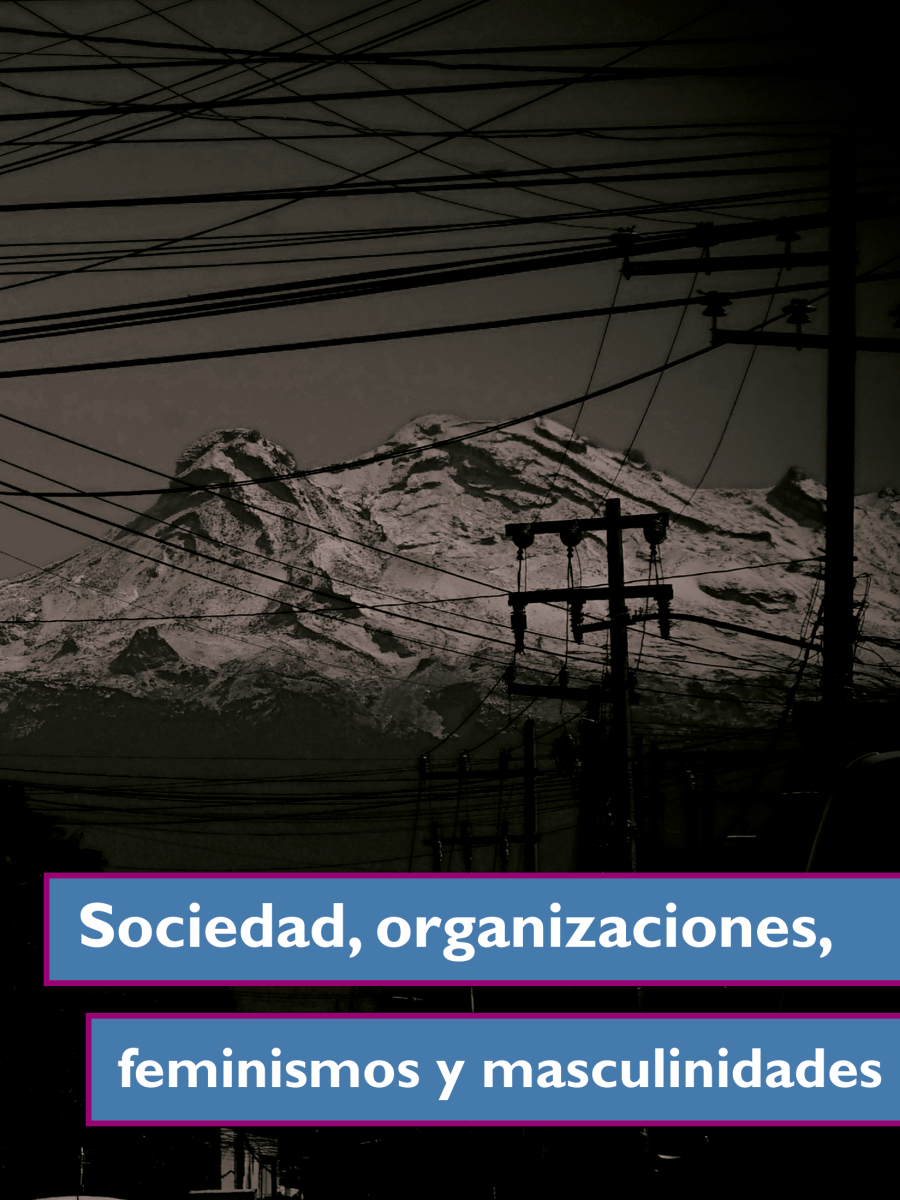 Sociedad, organizaciones, feminismos y masculinidades